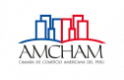 logo_amcham